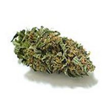 Green Grower Collective / Los Angeles Delivery