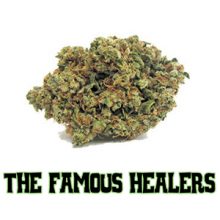 The Famous Healers / Los Angeles Dispensary