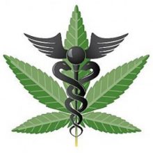 Sleeping Giant Caregiver/ Helena, Montana Dispensary