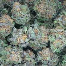 Sunset Herbal Corner / North Hollywood Dispensary